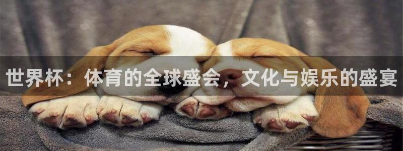 澳门世界杯直播:世界杯:体育的全球盛会,文化与娱乐的盛宴