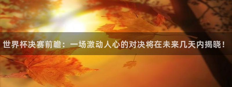 中国 世界杯:世界杯决赛前瞻:一场激动人心的对决将在未来几天内揭晓!