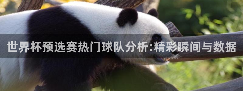 2026世界杯欧洲预选赛赛程表:世界杯预选赛热门球队分析:精彩瞬间与数据