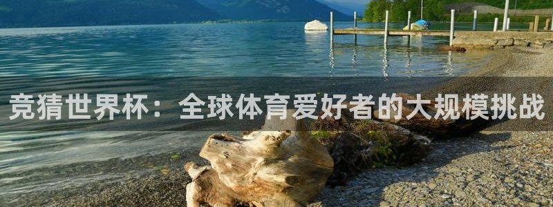 世界杯对阵表:竞猜世界杯:全球体育爱好者的大规模挑战