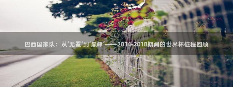 中国 世界杯:巴西国家队:从‘无冕’到‘巅峰’——2014-2018期间的世界杯征程回顾