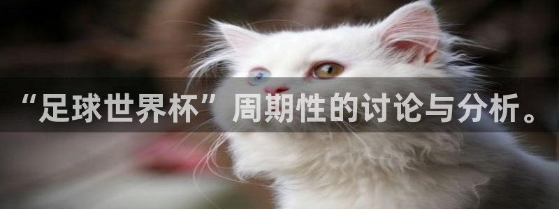 2026世界杯亚洲区预选赛赛程:“足球世界杯”周期性的讨论与分析。